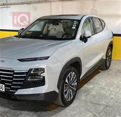 جيتور داشينج